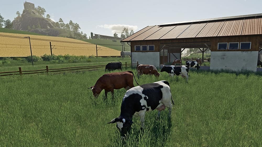 Farming Simulator 19 - More Animals is coming! | Farming Simulator 19 Mod |  FS19 mod