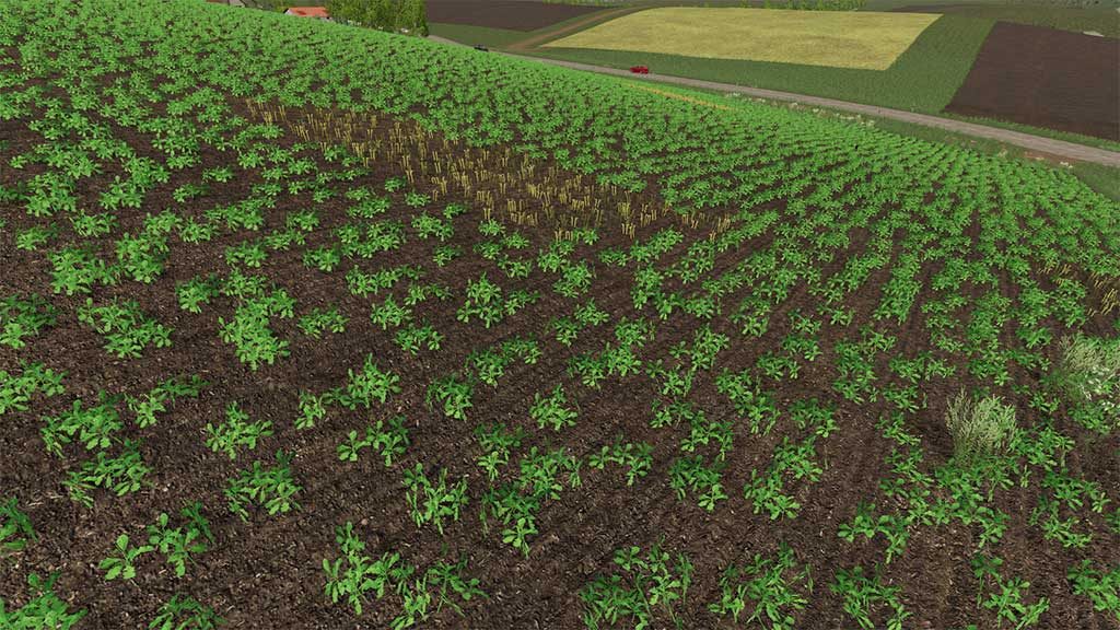 Seasons 19 Crops Farming Simulator 19 Mod FS19 mod