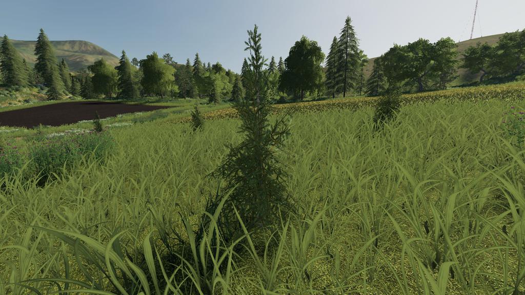 Plantable Spruce Trees v1.0.0.0 FS19 Farming Simulator 19 Mod FS19 mod