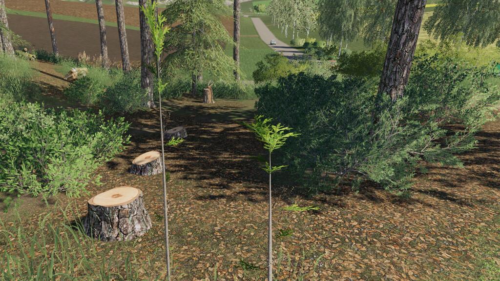 Player Plant Trees FS19 - Farming Simulator 19 Mod | FS19 mod