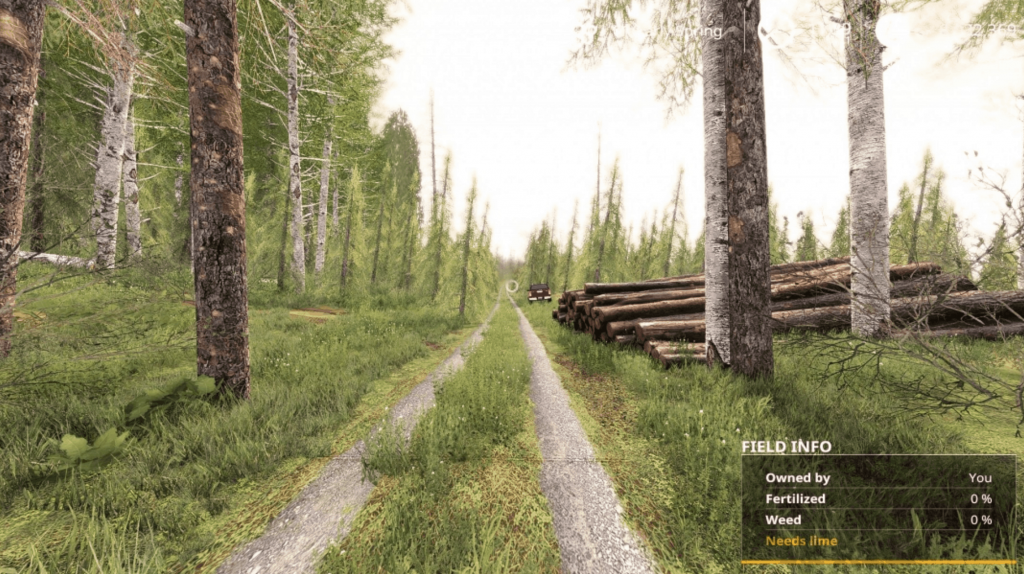 Forest Machine Map v1 FS19 thumbnail 5