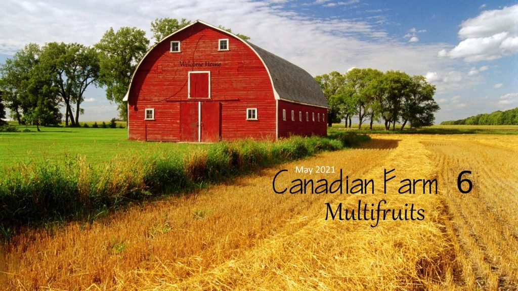 Canadian Farm Map – Seasons ready v6.0 FS19 thumbnail 3